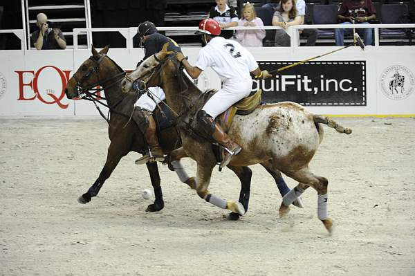 WIHS2-10-27-10-MilitaryPolo-2122-DDeRosaPhoto.jpg