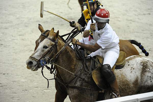 WIHS2-10-27-10-MilitaryPolo-2129-DDeRosaPhoto.jpg