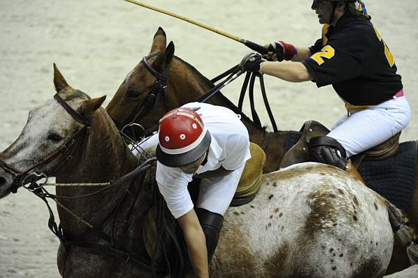 WIHS2-10-27-10-MilitaryPolo-2131-DDeRosaPhoto.jpg