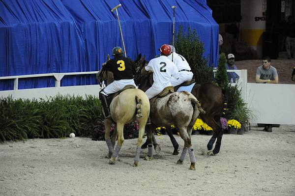 WIHS2-10-27-10-MilitaryPolo-2133-DDeRosaPhoto.jpg