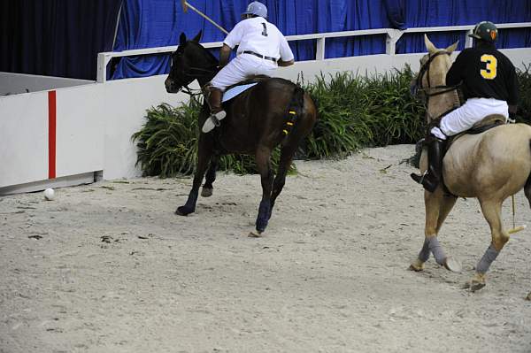 WIHS2-10-27-10-MilitaryPolo-2139-DDeRosaPhoto.jpg