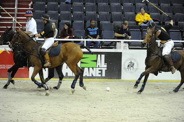 WIHS2-10-27-10-MilitaryPolo-2153-DDeRosaPhoto.jpg