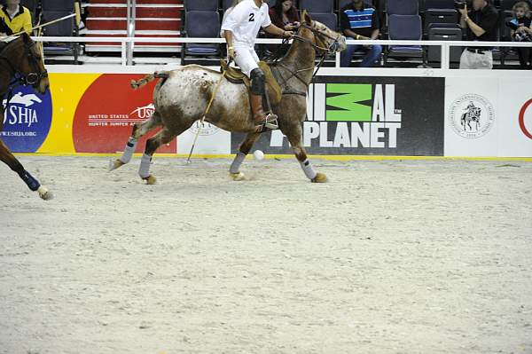 WIHS2-10-27-10-MilitaryPolo-2161-DDeRosaPhoto.jpg