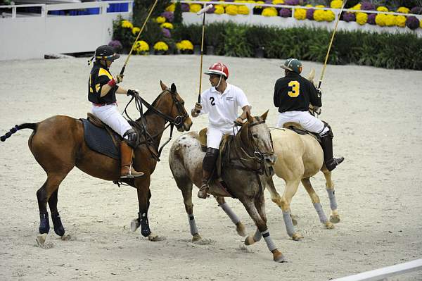 WIHS2-10-27-10-MilitaryPolo-2163-DDeRosaPhoto.jpg