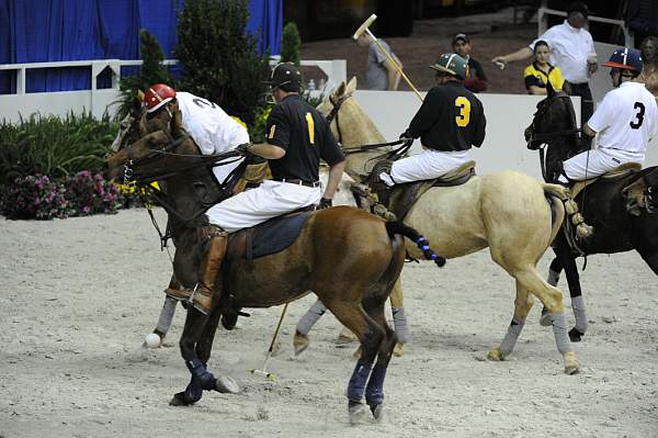 WIHS2-10-27-10-MilitaryPolo-2167-DDeRosaPhoto.jpg