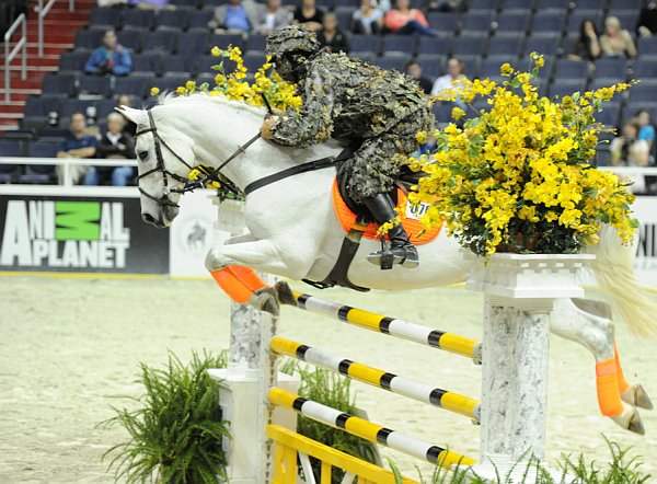 Animal_Planet-WIHS2-10-28-10-4894-DDeRosaPhoto.jpg