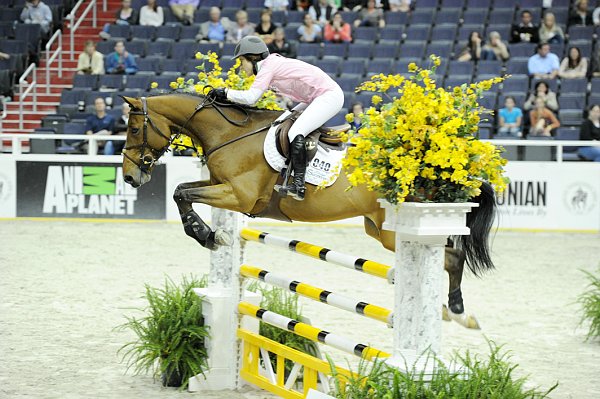 Animal_Planet-WIHS2-10-28-10-4963-DDeRosaPhoto.jpg