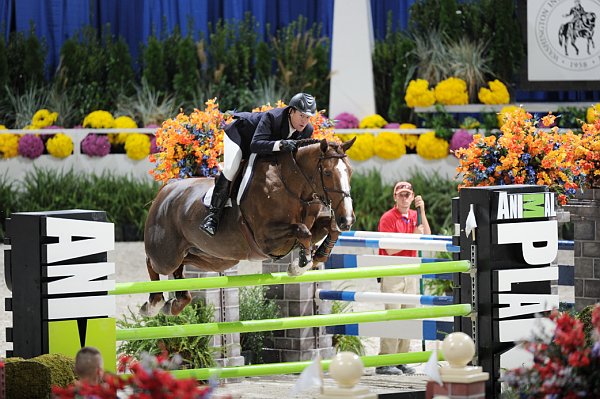 Animal_Planet-WIHS2-10-30-10-8855-DDeRosaPhoto.jpg