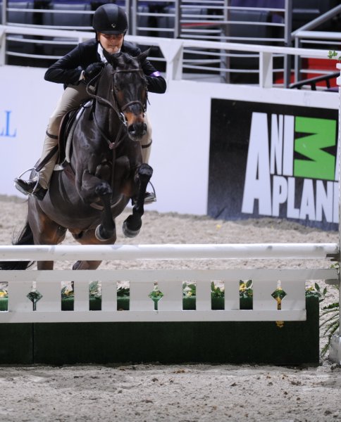 Animal_Planet-WIHS3-10-31-10-Cl114-MedPnyHtr-9745-Denmark-VictoriaPress-Barrel-DDeRosaPhoto.jpg