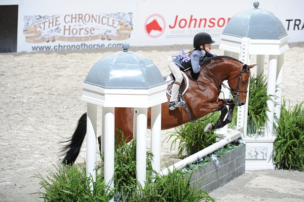 Chronicle-WIHS3-10-31-10-Cl113-MedPnyHtr-9472-Cleverist-DaisyFarish-DDeRosaPhoto.jpg