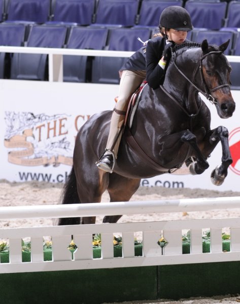 Chronicle-WIHS3-10-31-10-Cl114-MedPnyHtr-9640-Tuscany-SophieMchaels-DDeRosaPhoto.jpg