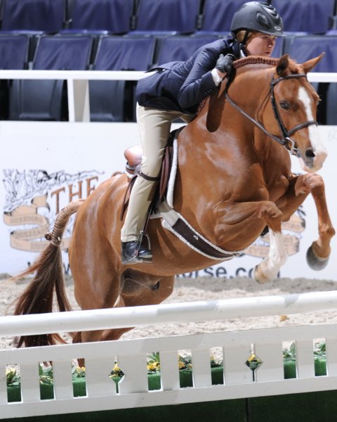 Chronicle-WIHS3-10-31-10-Cl114-MedPnyHtr-9645-EverLuvin-VictoriaColvin-DDeRosaPhoto.jpg