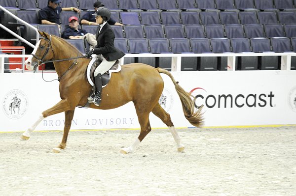 Comcast-WIHS-10-26-10-Cl13-RgConfHtr-7557-Quintessential-IsabellaNorton-DDeRosaPhoto.jpg