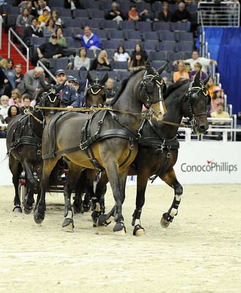 Conoco_Phillips-WIHS2-10-28-10-4670-DDeRosaPhoto.jpg