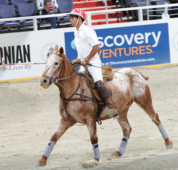 Discovery-WIHS2-10-27-10-MilitaryPolo-2095-DDeRosaPhoto.jpg