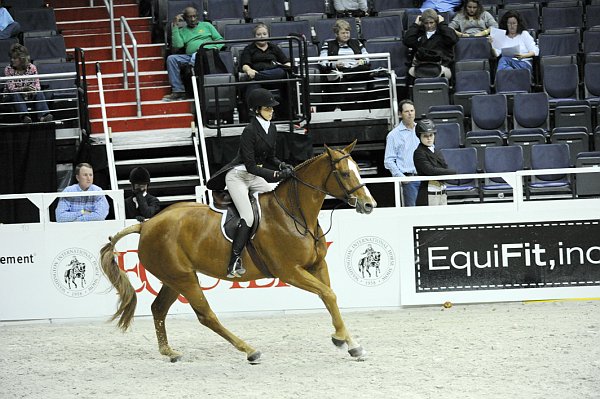 EquiFit-WIHS1-10-26-10-9379-DDeRosaPhoto.jpg