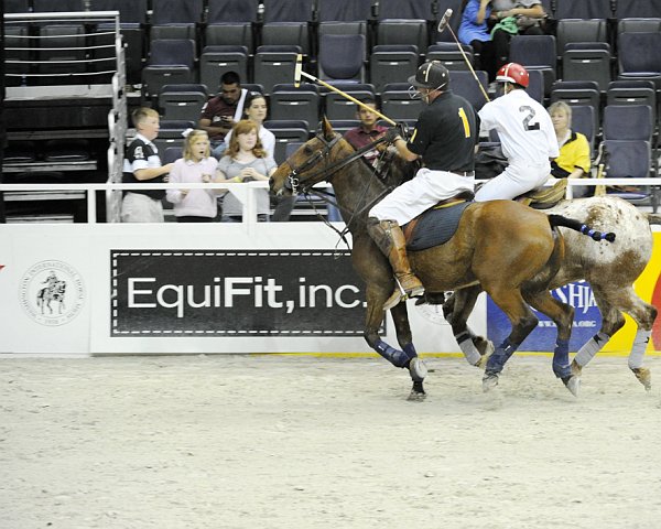 EquiFit-WIHS2-10-27-10-MilitaryPolo-2143-DDeRosaPhoto.jpg