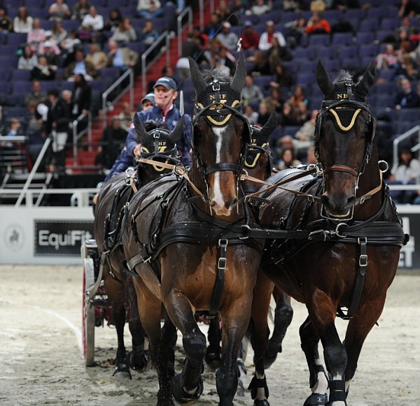 EquiFit-WIHS2-10-30-10-8679-DDeRosaPhoto.jpg