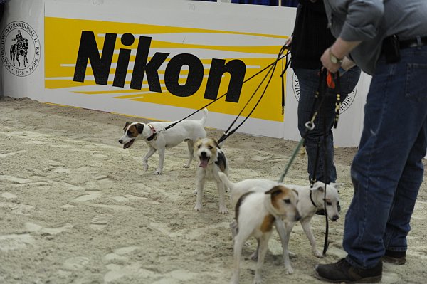 Nikon-WIHS2-10-28-10-4639-DDeRosaPhoto.jpg