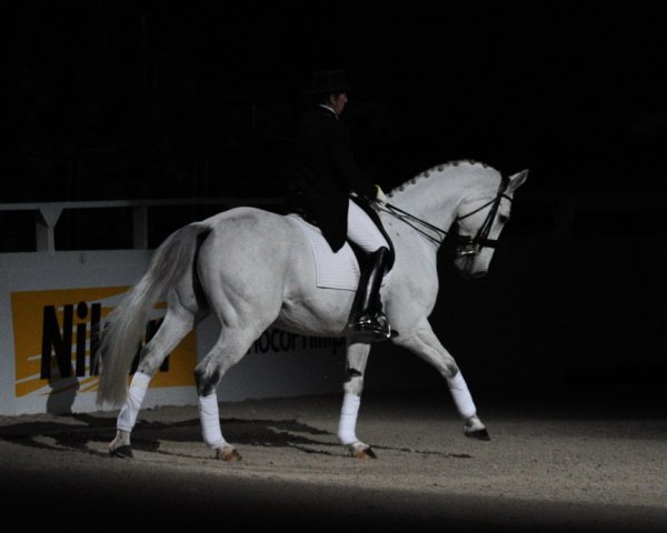 Nikon-WIHS2-10-29-10-6460-PamGoodrich-Lamborghini-DDeRosaPhoto.jpg