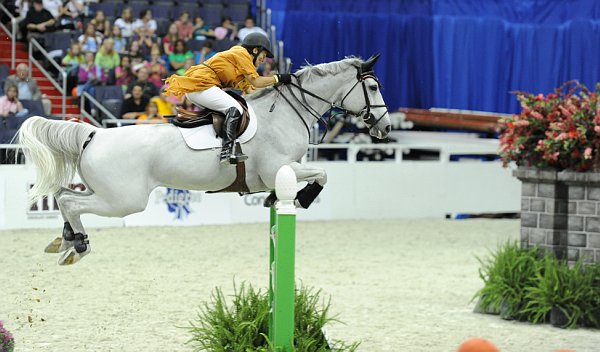 Pedigree-WIHS2-10-28-10-5026-DDeRosaPhoto.jpg