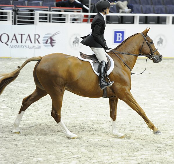 Qatar-WIHS-10-26-10-Cl13-RgConfHtr-7556-Quintessential-IsabellaNorton-DDeRosaPhoto.jpg