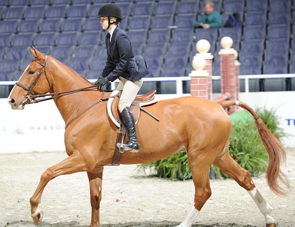 WIHS2-10-29-10-Cl181-WIHSEq-Htr-5649-LucyDavis-Patrick-DDeRosaPhoto.jpg