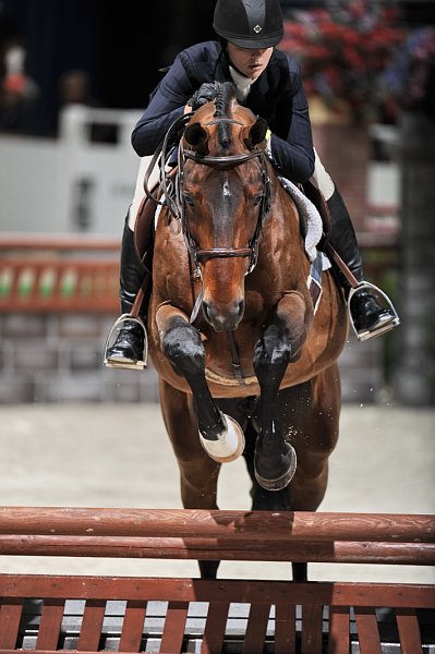 WIHS2-10-29-10-Cl181-WIHSEq-Htr-5690-VictoriaBirdsall-Baheera-DDeRosaPhoto.jpg