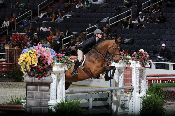 WIHS2-10-29-10-Cl181-WIHSEq-Htr-5715-MichaelHughes-CocoPop-DDeRosaPhoto.jpg