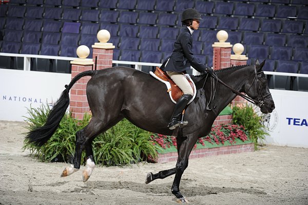 WIHS2-10-29-10-Cl181-WIHSEq-Htr-5766-KarenPolle-Logan-DDeRosaPhoto.jpg