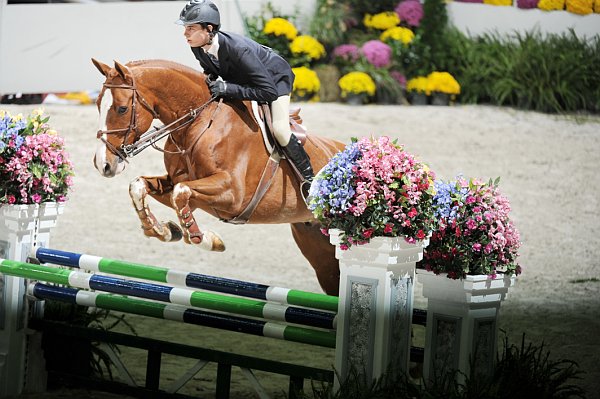 WIHS2-10-30-10-Cl182-WIHSEqJpr-8190-TheodoreBoris-WCSwing-DDeRosaPhoto.jpg