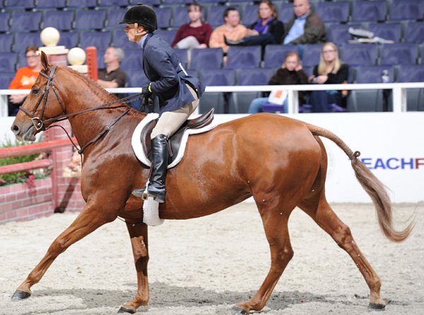 WIHS3-10-31-10-Cl191-RegHtrFinalsHrs-0330-Sofia-BonnieDarcey-DDeRosaPhoto.jpg