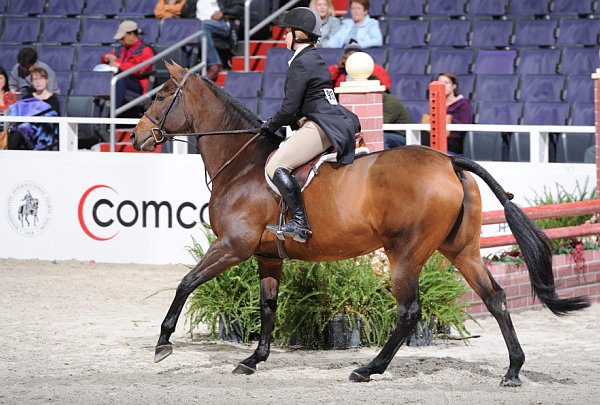 WIHS3-10-31-10-Cl191-RegHtrFinalsHrs-0332-Victoria-CoriKaylor-DDeRosaPhoto.jpg
