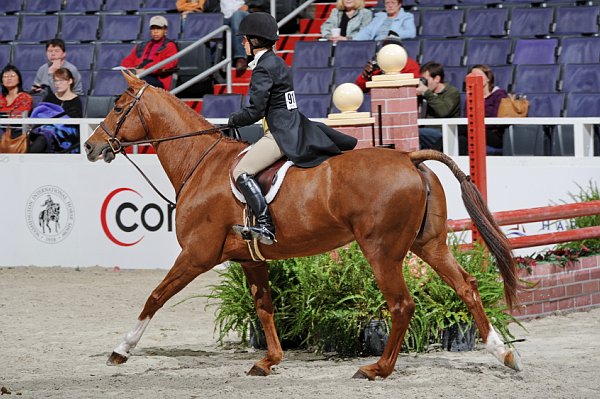 WIHS3-10-31-10-Cl191-RegHtrFinalsHrs-0353-Valente-MeganMcGovern-DDeRosaPhoto.jpg