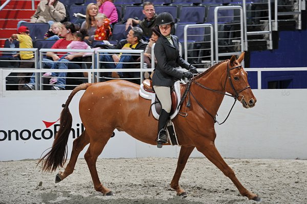 WIHS3-10-31-10-Cl191-RegHtrFinalsHrs-0361-Winterfield-SummerSeeley-DDeRosaPhoto.jpg