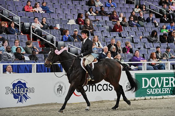 WIHS3-10-31-10-Cl191-RegHtrFinalsHrs-0371-ColorMeBlue-CathleenDriscoll-DDeRosaPhoto.jpg