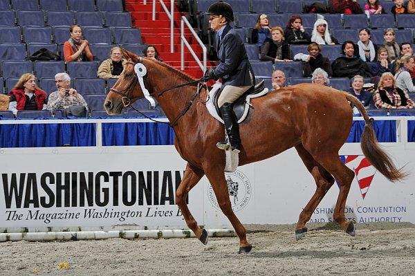 WIHS3-10-31-10-Cl191-RegHtrFinalsHrs-0374-Sofia-BonnieDarcey-DDeRosaPhoto.jpg