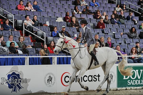 WIHS3-10-31-10-Cl191-RegHtrFinalsHrs-0380-Sailaway-AshleyChucker-DDeRosaPhoto.jpg