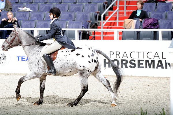 WIHS3-10-31-10-Cl193-LocHtrFinals-Pny-0176-WildCardCody-SarahAnderson-DDeRosaPhoto.jpg