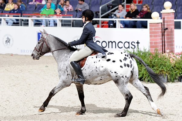 WIHS3-10-31-10-Cl193-LocHtrFinals-Pny-0183-WildCardCody-SarahAnderson-DDeRosaPhoto.jpg