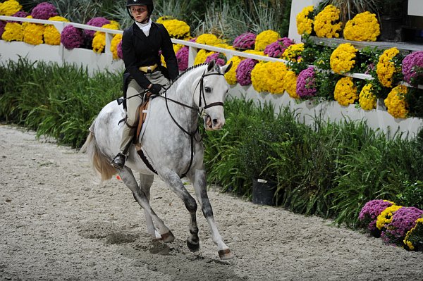 WIHS3-10-31-10-Cl193-LocHtrFinals-Pny-0212-LakeviewPickpocket-LaurenRockwell-DDeRosaPhoto.jpg