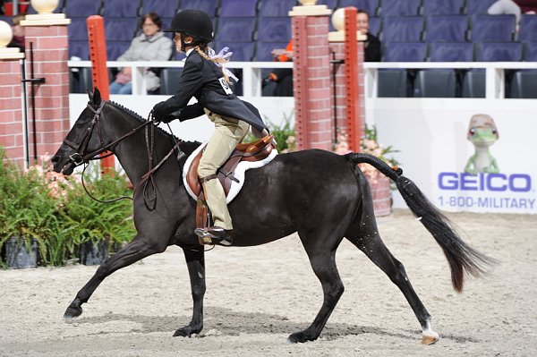 WIHS3-10-31-10-Cl193-LocHtrFinals-Pny-0235-RockStar-ElizabethParent-DDeRosaPhoto.jpg