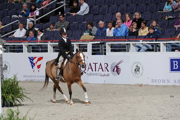 WIHS3-10-31-10-Cl193-LocHtrFinals-Pny-0244-TantallenSpecialEdition-ElizabethCarter-DDeRosaPhoto.jpg