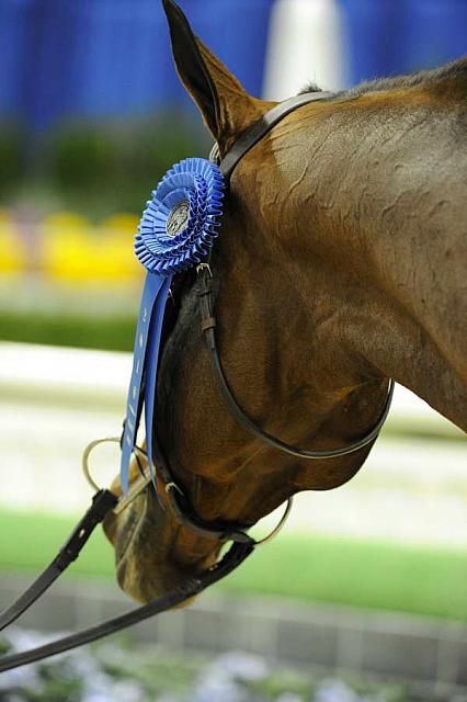 WIHS1-10-26-10-Cl43-RgWkgHndyHtr-8669-Rosalynn-DDeRosaPhoto.JPG