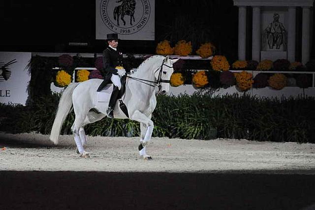 Dressage-WIHS2-10-29-10-6393-PamGoodrich-Lamborghini-DDeRosaPhoto.JPG