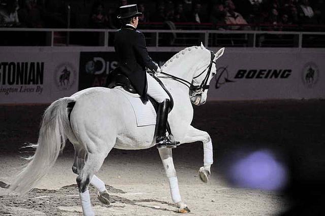 Dressage-WIHS2-10-29-10-6525-PamGoodrich-Lamborghini-DDeRosaPhoto-2.jpg