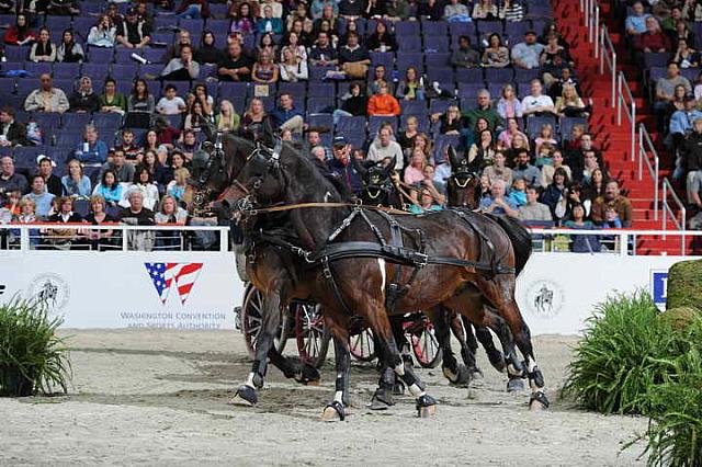 Driving-WIHS2-10-30-10-8666-DDeRosaPhoto.JPG