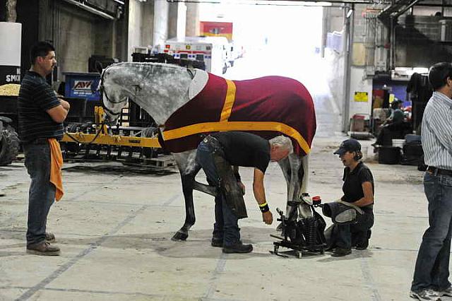 Farrier-WIHS2-2010-WEG_0481-DDeRosaPhoto.JPG