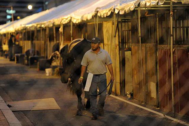 Outside-WIHS1-10-26-10- 7338-DDeRosaPhoto.JPG