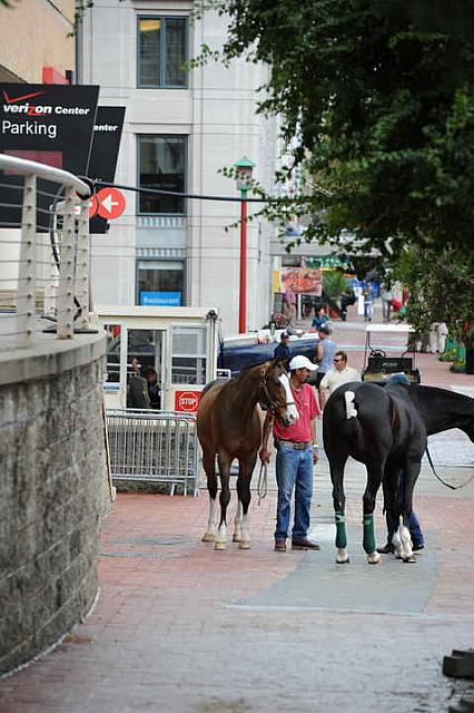 Outside-WIHS2-2010-WEG_0623-DDeRosaPhoto.JPG